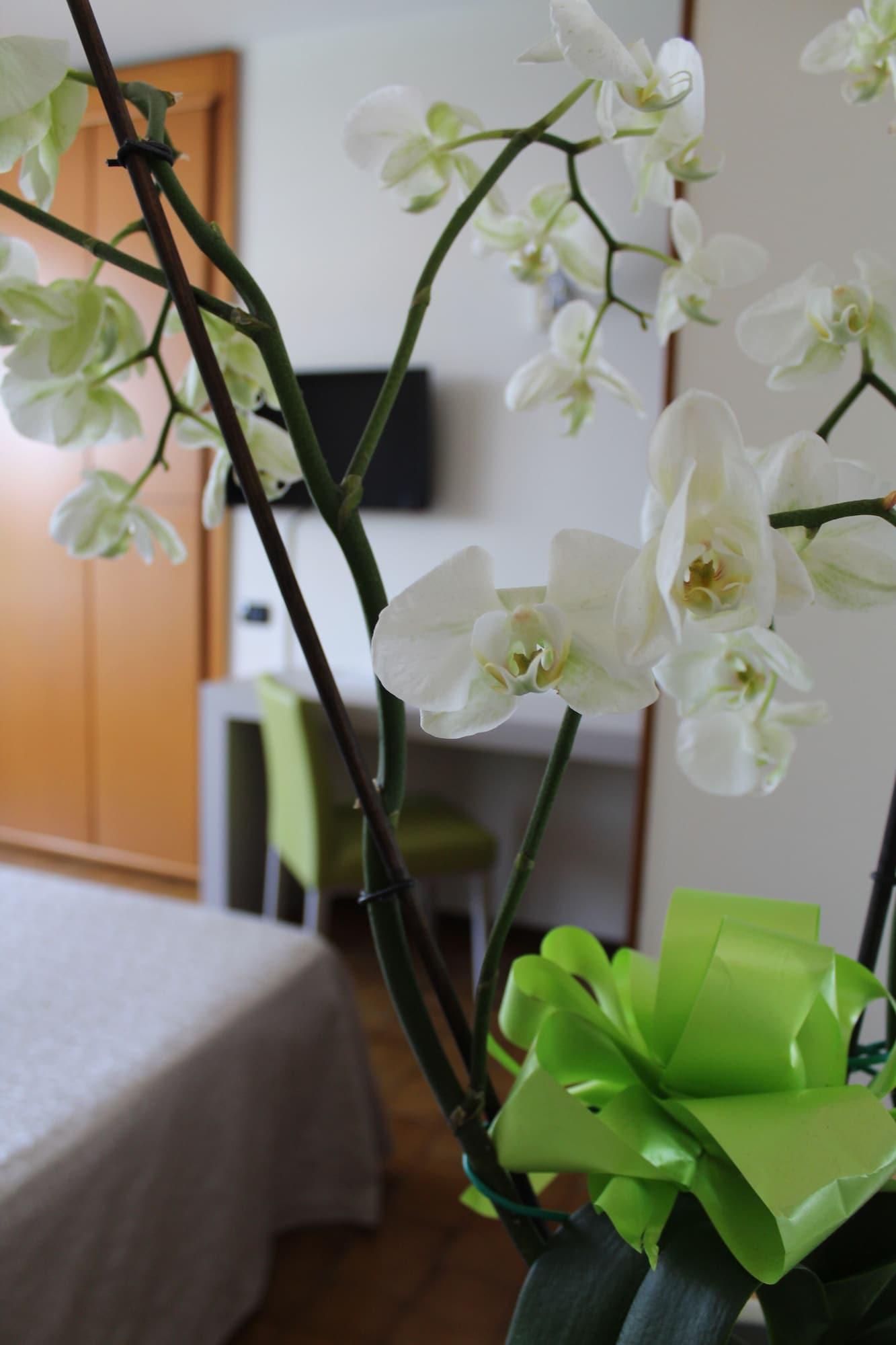 Hotel Residence Holiday Сирмионе Екстериор снимка